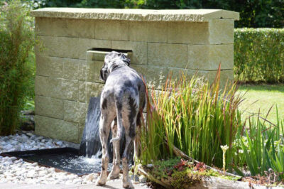 ZAKLJUČNA BETONSKA KAPA NAKLONSKA KOGRAD IGEM, RUMENA