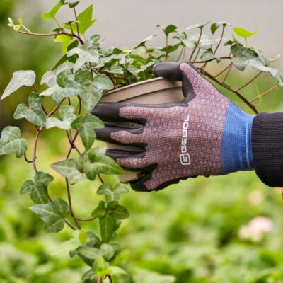 VRTNE ROKAVICE VIOLA, KOMPLET