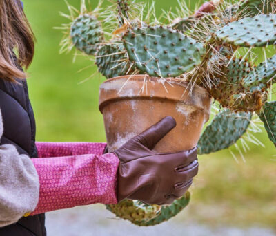 VRTNE ROKAVICE GEBOL DAMASCENA, ZA TRNJE