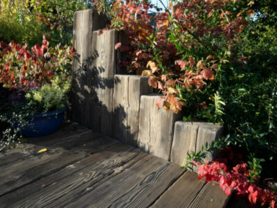 PALISADE IN ROBNIKI OKAMENELI LES, OBLAK