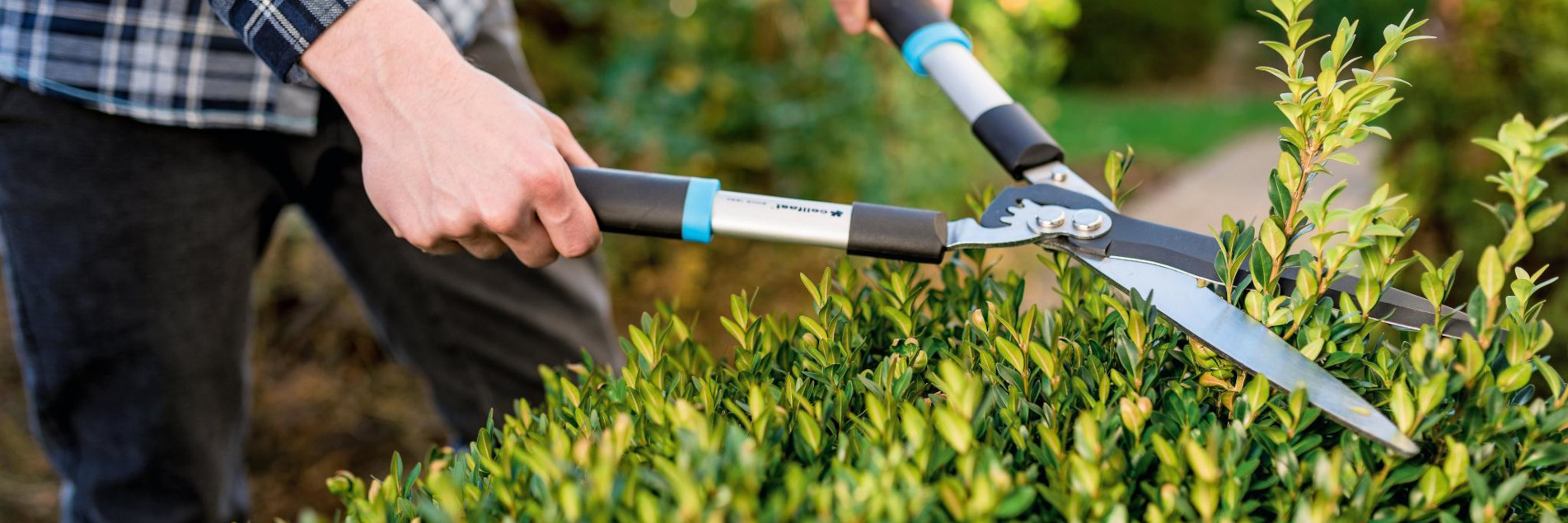 banner-skarje-za-obrezovanje-topdom