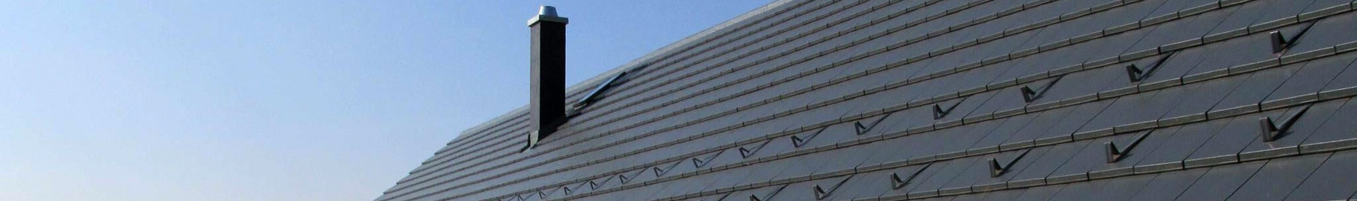 topdom-creaton-pasica