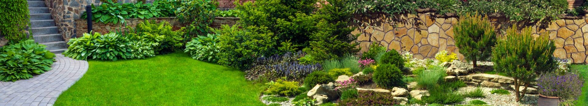 topdom_bonfante_banner_2-2