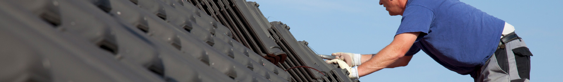 topdom-kritine-banner