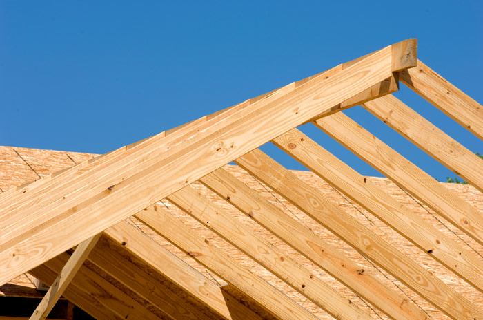 topdom-les-in-zascita-lesa-ikona