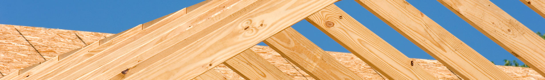 topdom-les-in-zascita-lesa-banner