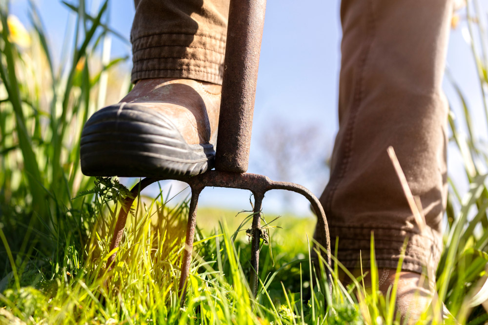 rahljanje-zemlje-vile